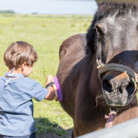 Friesenhof Janssen - Urlaub Auf Dem Bauernhof Neuharlingersiel Exterior foto
